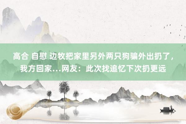 高合 自慰 边牧把家里另外两只狗骗外出扔了，我方回家…网友：此次找追忆下次扔更远