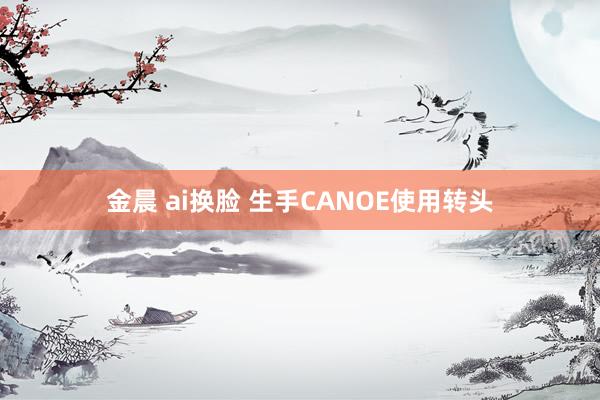 金晨 ai换脸 生手CANOE使用转头