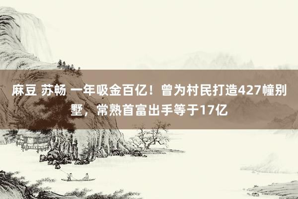 麻豆 苏畅 一年吸金百亿！曾为村民打造427幢别墅，常熟首富出手等于17亿