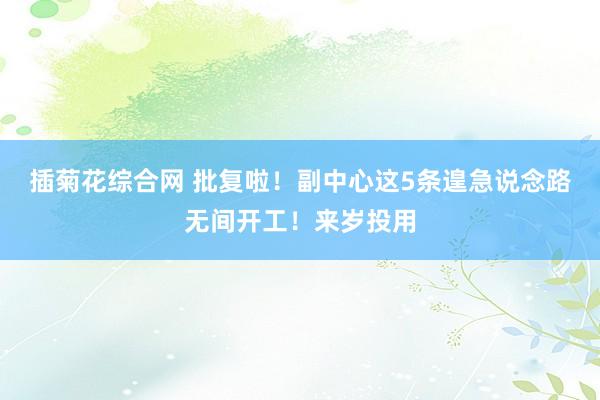 插菊花综合网 批复啦！副中心这5条遑急说念路无间开工！来岁投用