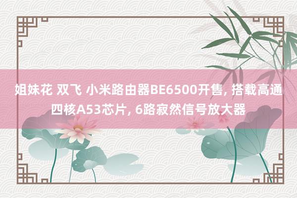 姐妹花 双飞 小米路由器BE6500开售， 搭载高通四核A53芯片， 6路寂然信号放大器