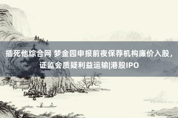 插死他综合网 梦金园申报前夜保荐机构廉价入股，证监会质疑利益运输|港股IPO