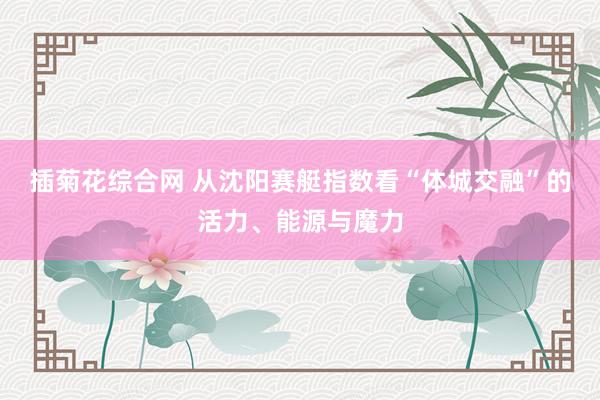 插菊花综合网 从沈阳赛艇指数看“体城交融”的活力、能源与魔力