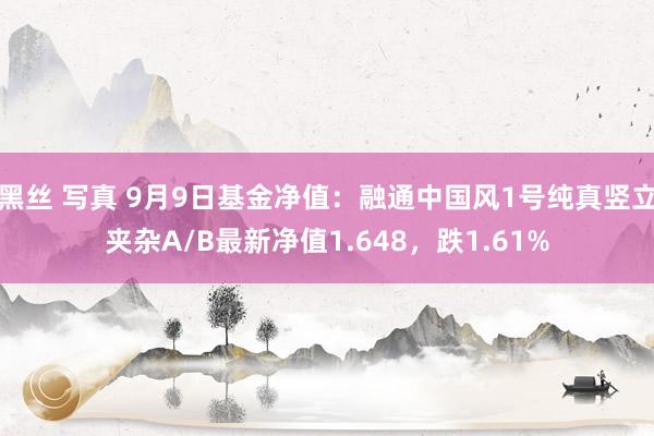 黑丝 写真 9月9日基金净值：融通中国风1号纯真竖立夹杂A/B最新净值1.648，跌1.61%