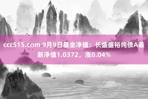 ccc515.com 9月9日基金净值：长盛盛裕纯债A最新净值1.0372，涨0.04%