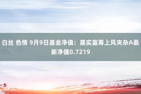 白丝 色情 9月9日基金净值：嘉实蓝筹上风夹杂A最新净值0.7219