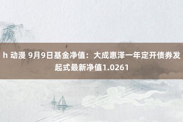 h 动漫 9月9日基金净值：大成惠泽一年定开债券发起式最新净值1.0261