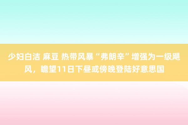 少妇白洁 麻豆 热带风暴“弗朗辛”增强为一级飓风，瞻望11日下昼或傍晚登陆好意思国