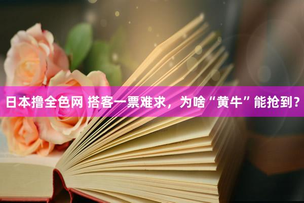 日本撸全色网 搭客一票难求，为啥“黄牛”能抢到？