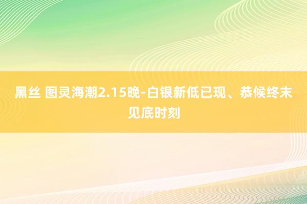 黑丝 图灵海潮2.15晚-白银新低已现、恭候终末见底时刻