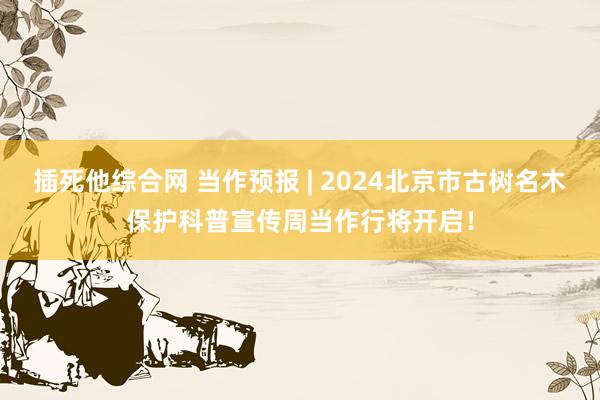 插死他综合网 当作预报 | 2024北京市古树名木保护科普宣传周当作行将开启！