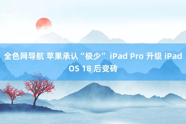 全色网导航 苹果承认“极少” iPad Pro 升级 iPadOS 18 后变砖