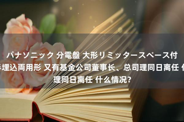 パナソニック 分電盤 大形リミッタースペース付 露出・半埋込両用形 又有基金公司董事长、总司理同日离任 什么情况？