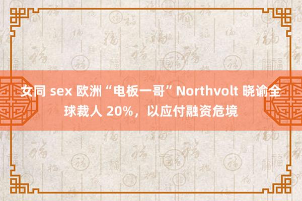 女同 sex 欧洲“电板一哥”Northvolt 晓谕全球裁人 20%，以应付融资危境