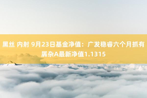 黑丝 内射 9月23日基金净值：广发稳睿六个月抓有羼杂A最新净值1.1315