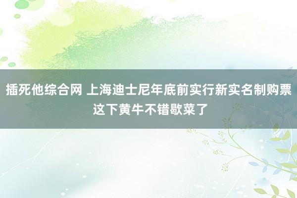 插死他综合网 上海迪士尼年底前实行新实名制购票 这下黄牛不错歇菜了