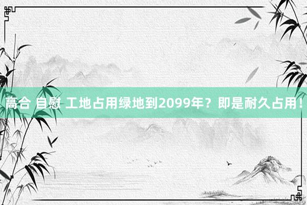 高合 自慰 工地占用绿地到2099年？即是耐久占用！