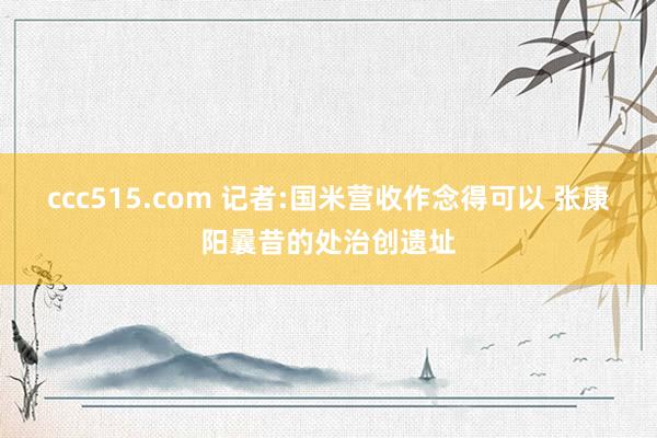 ccc515.com 记者:国米营收作念得可以 张康阳曩昔的处治创遗址