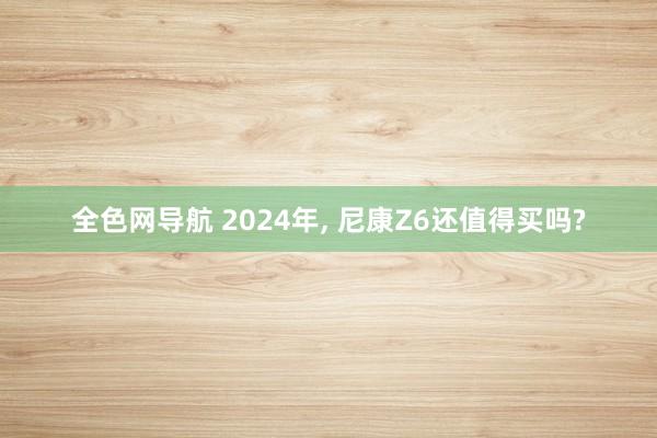 全色网导航 2024年， 尼康Z6还值得买吗?