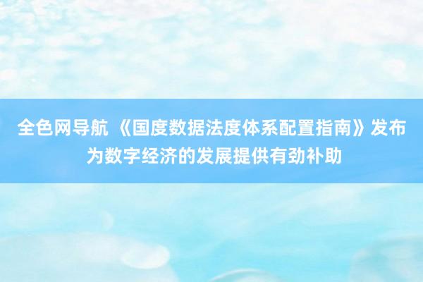 全色网导航 《国度数据法度体系配置指南》发布 为数字经济的发展提供有劲补助