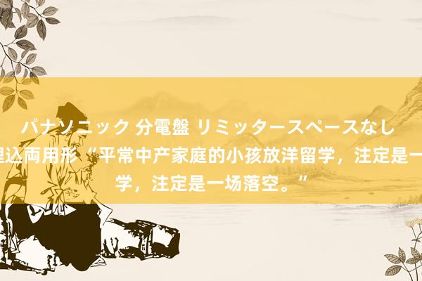 パナソニック 分電盤 リミッタースペースなし 露出・半埋込両用形 “平常中产家庭的小孩放洋留学，注定是一场落空。”