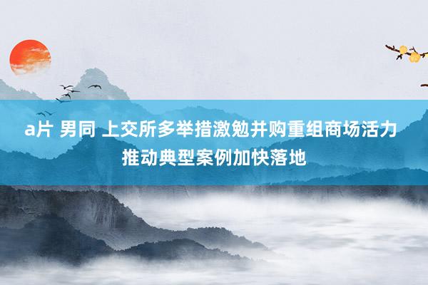 a片 男同 上交所多举措激勉并购重组商场活力 推动典型案例加快落地