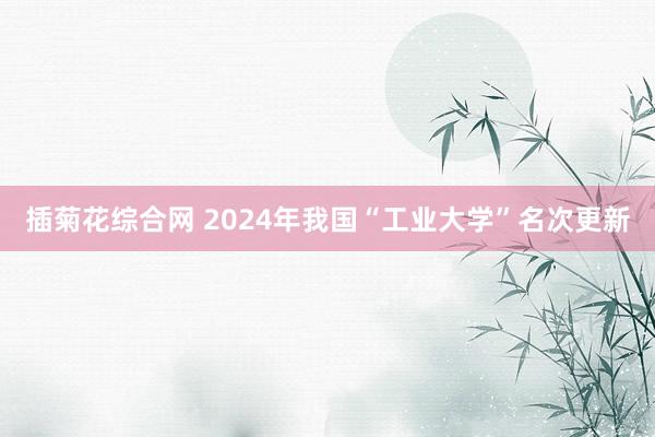 插菊花综合网 2024年我国“工业大学”名次更新