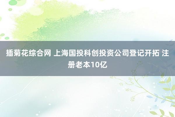 插菊花综合网 上海国投科创投资公司登记开拓 注册老本10亿