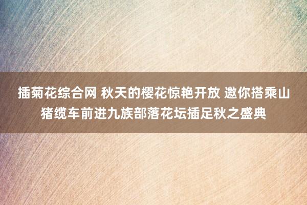 插菊花综合网 秋天的樱花惊艳开放 邀你搭乘山猪缆车前进九族部落花坛插足秋之盛典