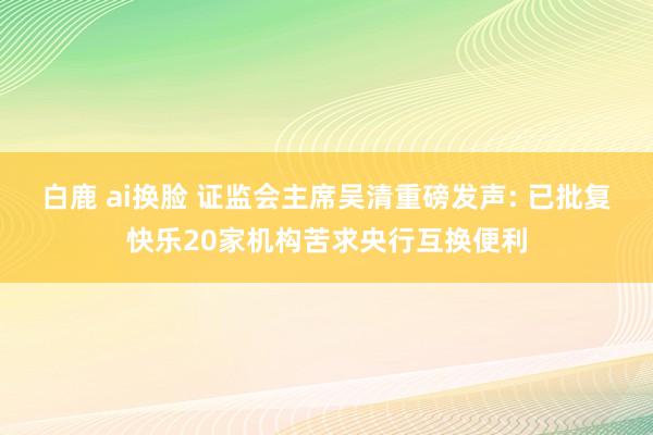 白鹿 ai换脸 证监会主席吴清重磅发声: 已批复快乐20家机构苦求央行互换便利