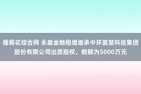 插菊花综合网 永赢金融租借继承中环寰慧科技集团股份有限公司出质股权，数额为5000万元