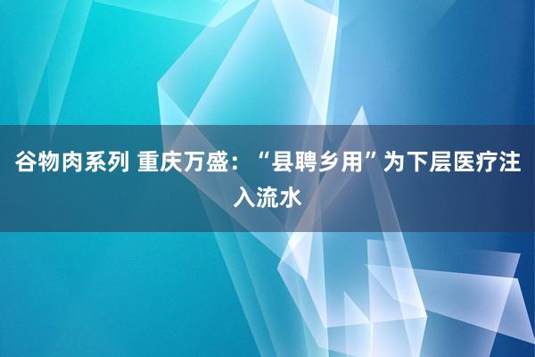 谷物肉系列 重庆万盛：“县聘乡用”为下层医疗注入流水