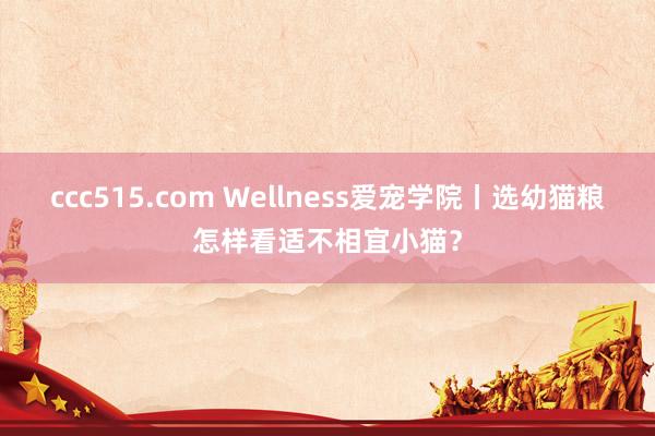 ccc515.com Wellness爱宠学院丨选幼猫粮怎样看适不相宜小猫？