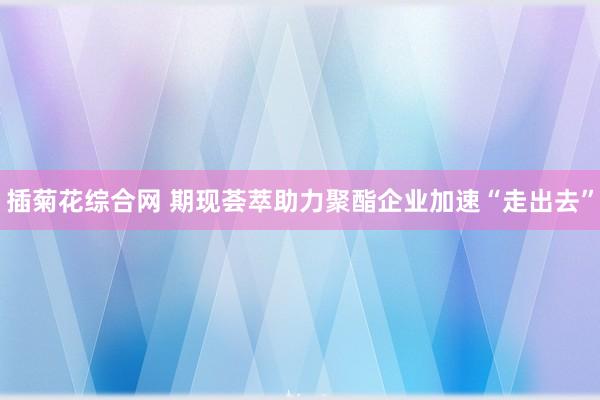 插菊花综合网 期现荟萃助力聚酯企业加速“走出去”