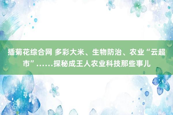 插菊花综合网 多彩大米、生物防治、农业“云超市”……探秘成王人农业科技那些事儿