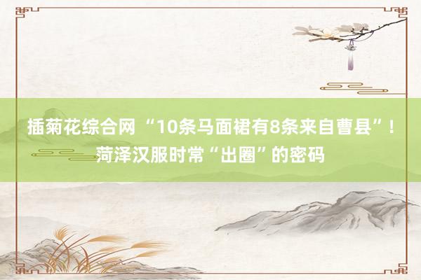 插菊花综合网 “10条马面裙有8条来自曹县”！菏泽汉服时常“出圈”的密码