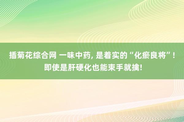 插菊花综合网 一味中药， 是着实的“化瘀良将”! 即使是肝硬化也能束手就擒!