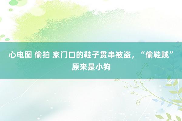 心电图 偷拍 家门口的鞋子贯串被盗，“偷鞋贼”原来是小狗