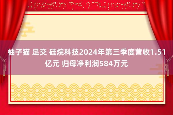 柚子猫 足交 硅烷科技2024年第三季度营收1.51亿元 归母净利润584万元