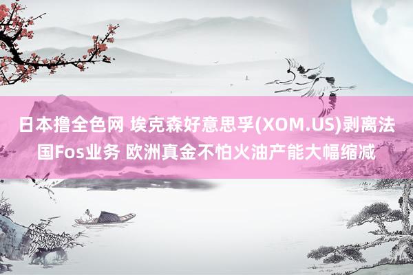 日本撸全色网 埃克森好意思孚(XOM.US)剥离法国Fos业务 欧洲真金不怕火油产能大幅缩减