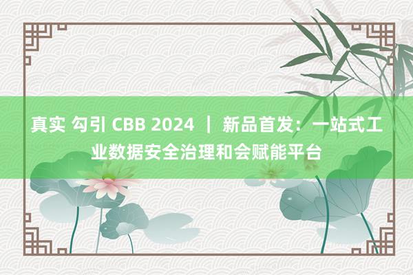 真实 勾引 CBB 2024 ｜ 新品首发：一站式工业数据安全治理和会赋能平台