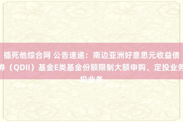 插死他综合网 公告速递：南边亚洲好意思元收益债券（QDII）基金E类基金份额限制大额申购、定投业务