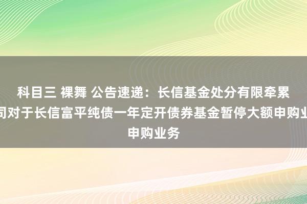 科目三 裸舞 公告速递：长信基金处分有限牵累公司对于长信富平纯债一年定开债券基金暂停大额申购业务