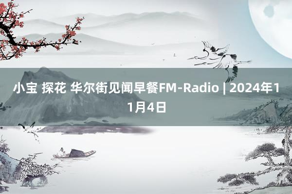 小宝 探花 华尔街见闻早餐FM-Radio | 2024年11月4日