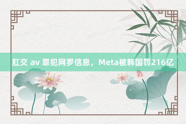 肛交 av 罪犯网罗信息，Meta被韩国罚216亿