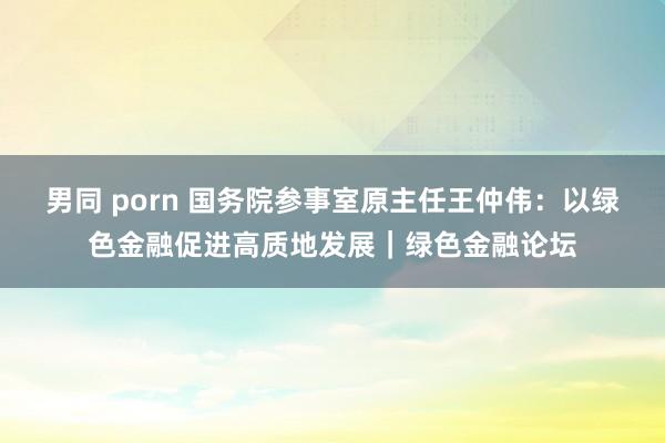 男同 porn 国务院参事室原主任王仲伟：以绿色金融促进高质地发展｜绿色金融论坛