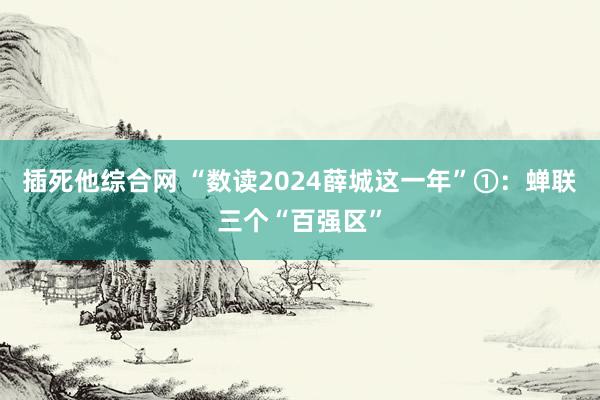 插死他综合网 “数读2024薛城这一年”①：蝉联三个“百强区”