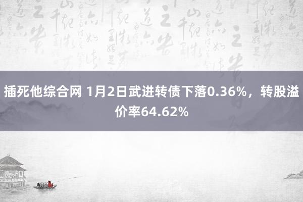 插死他综合网 1月2日武进转债下落0.36%，转股溢价率64.62%