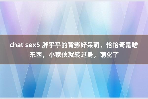 chat sex5 胖乎乎的背影好呆萌，恰恰奇是啥东西，小家伙就转过身，萌化了