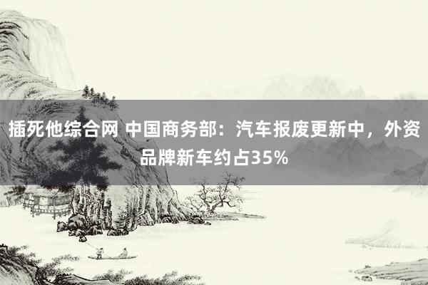 插死他综合网 中国商务部：汽车报废更新中，外资品牌新车约占35%